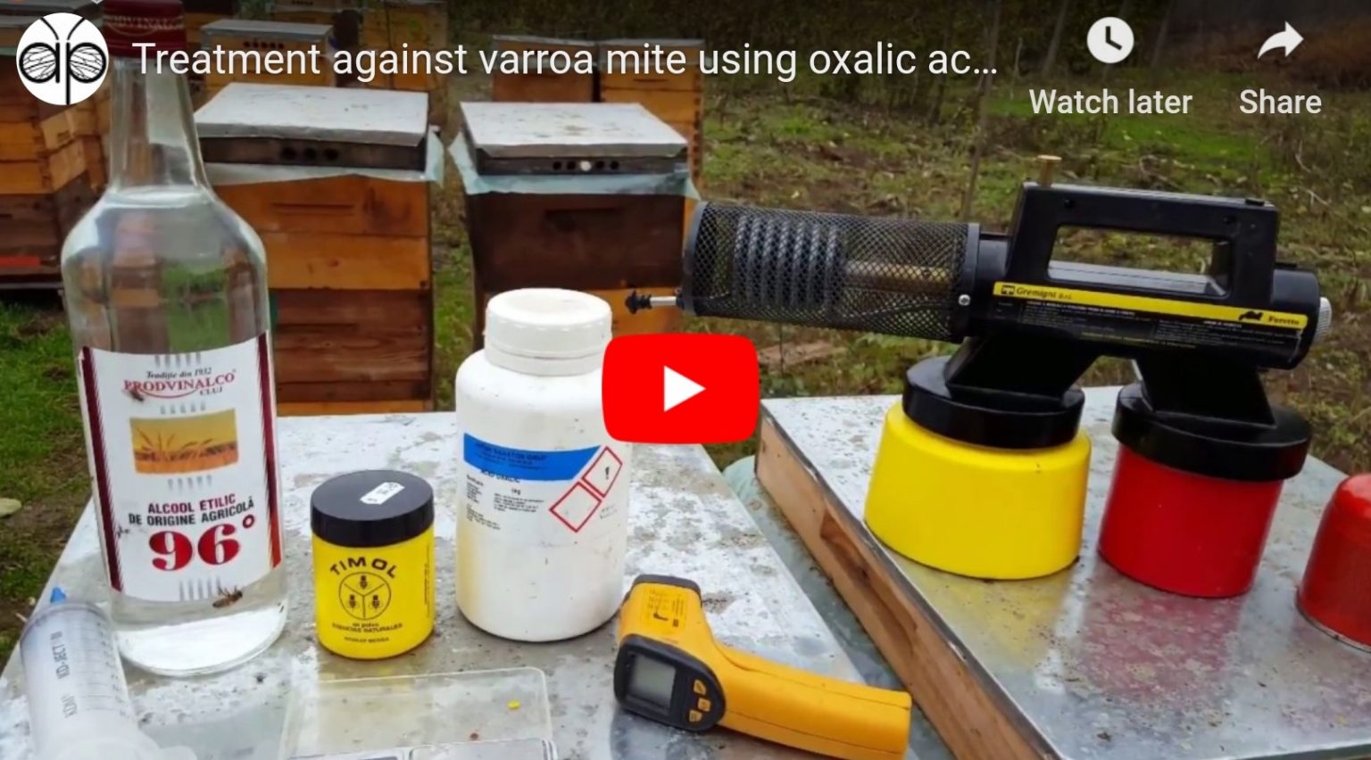 Traitement contre Varroa destructor à base d’acide oxalique