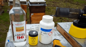 Treatment against varroa
